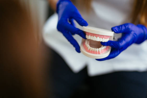 Trusted Bellaire, OH Holistic Dental Care Services Experts